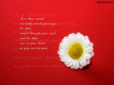 My Soulmate - love, poem, flower