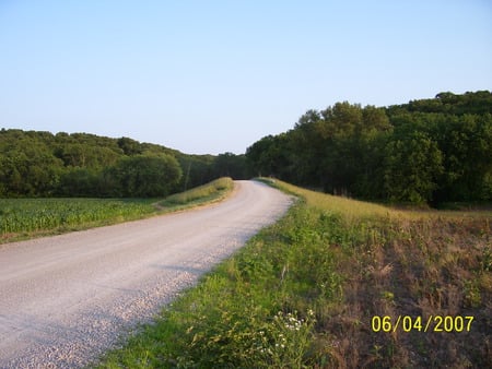 Country Roads - cropland, trees, country roads