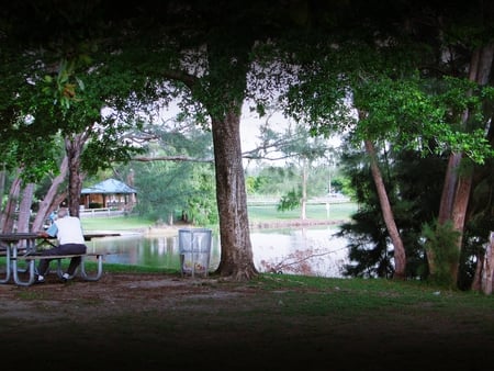 alone in the park