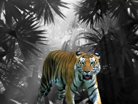 Tiger - 3d, tigers