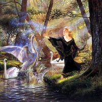 The swan dance