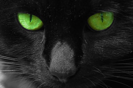 Green eyes