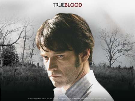 Bill Compton - true, blood, bill, hbo, compton