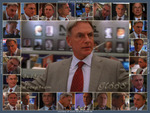 NCIS Gibbs