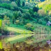 cabins on mountainside above a calm lake