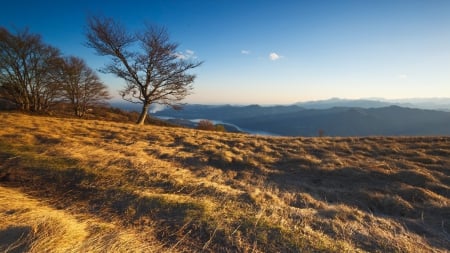 mountain meadow in autumn above a river - river, trees, autumn, grass, meadow, mountains, valley