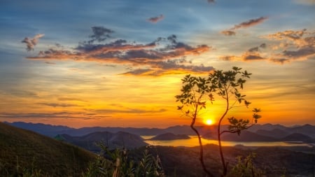 morning on a mountain lake - morning, lake, tree, mountains, sunrise