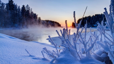 steam rising from a river in winter - river, ice, steam, winter, sunset, forest