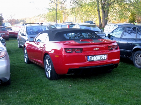 Red Sportcar - chevrolet, lawn, trees, red, black