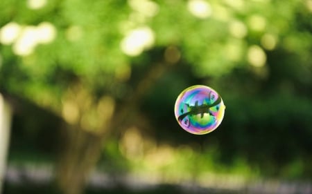 Bubbles II. - wallpaper, spring, abstract, hd, softnes, photography, bubble, colours, macro, colorful, green