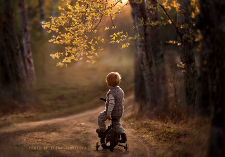 â™¥ - forest, child, path, road, leaves, kid, sunny, sunrays, bike, splendor, woods, trees, sunset, nature, boy