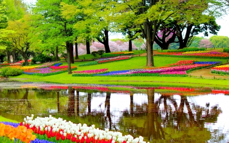 Spring in Keukenhof - pretty, Holland, grass, reflection, walk, alleys, flowers, garden, greenery, trees, keukenhof, water, beautiful, lovely, freshness, rest, colorful, tulips, park