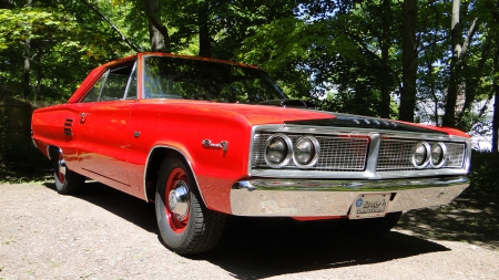 Dodge Coronet - Muscle, Car, Coronet, Old-Timer, Dodge