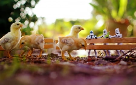 â™¥ - garden, toy, chick, bird, cute, yellow, chicken