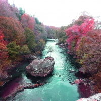 Autumn Stream