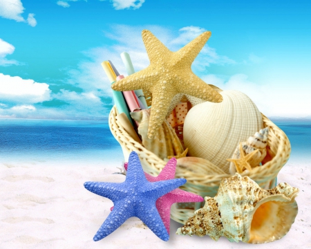 Shells and starfish