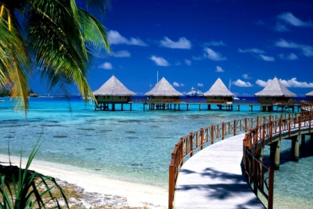 Tropical Paradise - sea, hotel, huts, pier, palm