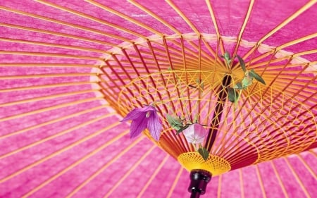 Umbrella - flowers, umbrella, pink, others