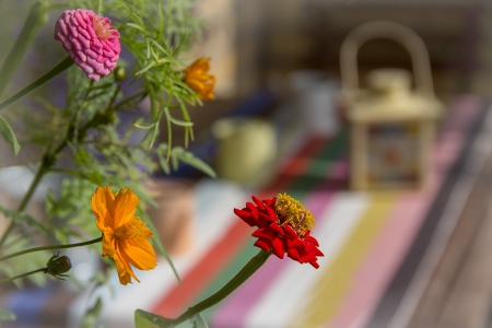 Still Life - flowers, red, still life, pink