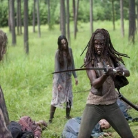 Michonne    {After}