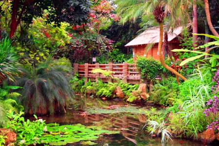 A hideaway from the city - relax, summer, forest, exotic, hidden, plants, lake, hut, cottage, greenery, palms, trees, beautiful, hideaway, pond, vacation, city, rest, nature, tropical, retreat