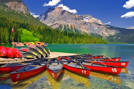 Emerald lake - canoes, clear, landscape, mirrored, walk, beautiful, rest, emerald, shore, lake, sky, reflection, trees, mountain