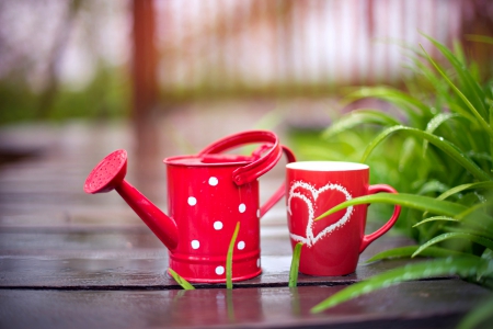 In the Garden - red, rain, bokeh, spring, leaves, cup, spring time