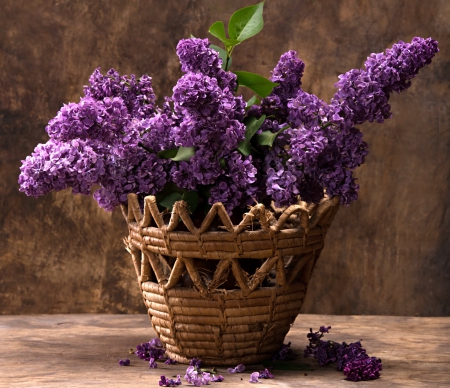 Basket lilac - basket, flower, purple, lilac