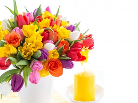 Spring flowers - spring flowers, spring, tulips, flower