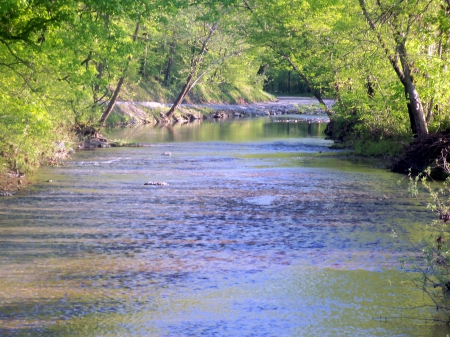 Lick Creek - Tennessee, Nature, Creek, Rural