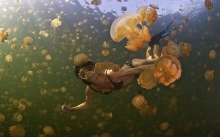 Photo of a Crazy Girl Swimming With JellyFish off The Coast of Queensland, Australia - oceans, people, amazing, stunning, coral reef, nature, underwater, jelly fish, fish