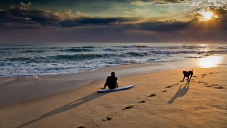 surfer playing with dog on a beach - beach, dog, clouds, sun, surfer, sea, waves