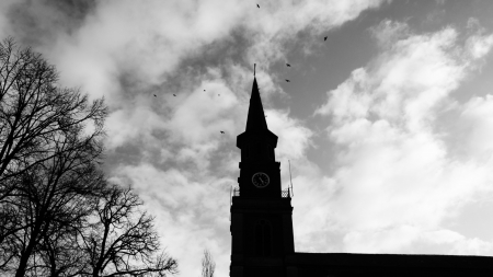 birds flying over church steeple - clouds, clock, black and white, steeple, tree, church, birds