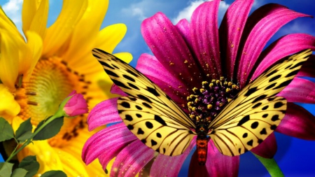 ~*~ Spring Flowers ~*~ - butterfly, flpwers, spring, Flowers time