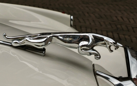 Jaguar Hood Ornament - cars, ornament, hood, jaguar