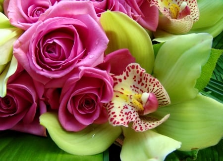 Lovely flowers - pretty, roses, beautiful, fragrance, wet, lovely, bouquet, flowers, scent, orchids, nice