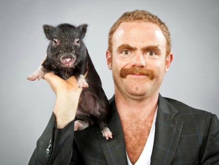 Man and a little piggy - pig, cute, man, piggy