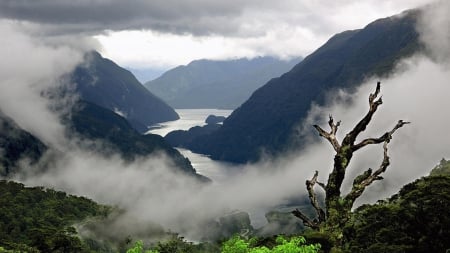 fog over a spectacular river valley - valley, river, fog, moss, mountains, rocks