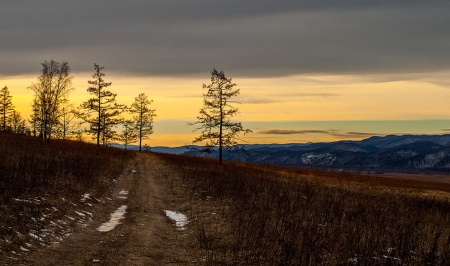 Sunset - amazing, sunset, trees, clouds