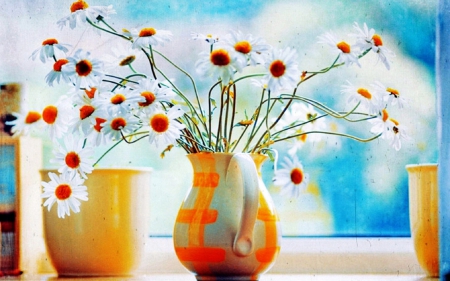 Beautiful Chamomile in Vase - chamomile, flower, beautiful, vase