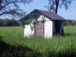 Abandoned Well House