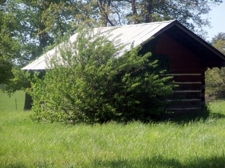 Abandoned Smoke House - rural, tennessee, architecture, smoke house, other