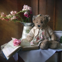 Teddy Bear Still Life