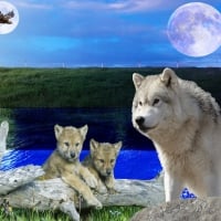 Wolves Moon and Eagle