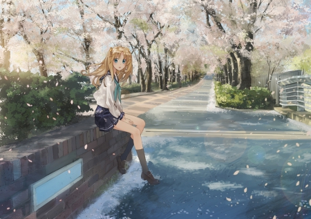 Waiting with Falling Cherry Blossoms - school uniform, blond hair, falling cherry blossoms, anime scenery, anime, waiting, anime girl, cherry blossoms