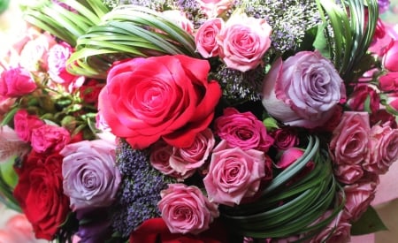 * Bouquet * - purple, roses, red, bouquet, flowers