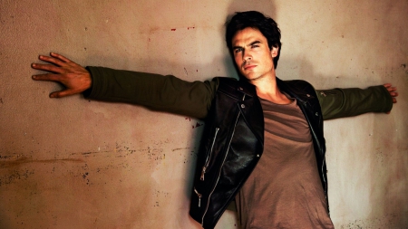 Ian Somerhalder as Damon - tv series, black, fantasy, ian somerhalder, brown, man, actor, damon, vampire diaries