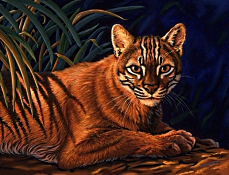 golden cat - extinct, almost, asian, rare