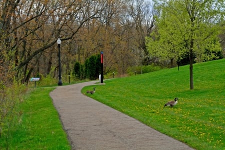 Serene Scene - serene scene, relaxing scene, peaceful scene, tranquil scene