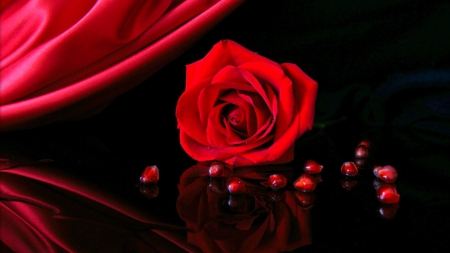 Red Rose - rubins, decoration, blossom, still Life, reflection